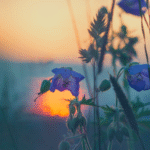 Zapomniałam o swojej własnej rocznicy!